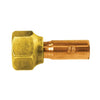 RHEEM BRASS STRAIGHT FITTING - INTER (RHE82-A15725)