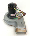 Magnetek JF1H112N Inducer Blower Motor Assembly HC30CK230#MF81