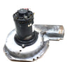 A.O. Smith JF1H131N HC30CK234 Draft Inducer Blower Motor Assembly #MS318